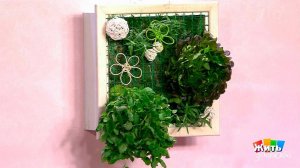 Висячие сады своими руками. Жить здорово! Фрагмент выпуска от 07.12.2016