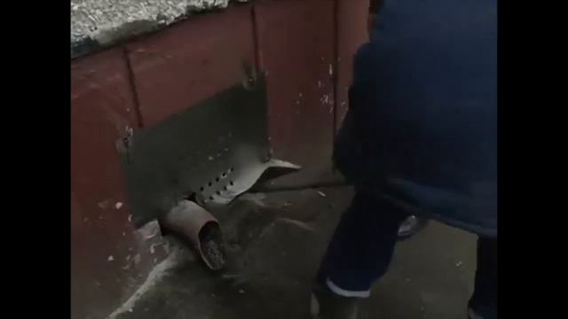 Котоспас – практическая зоозащита, замурованные кошки в подвале