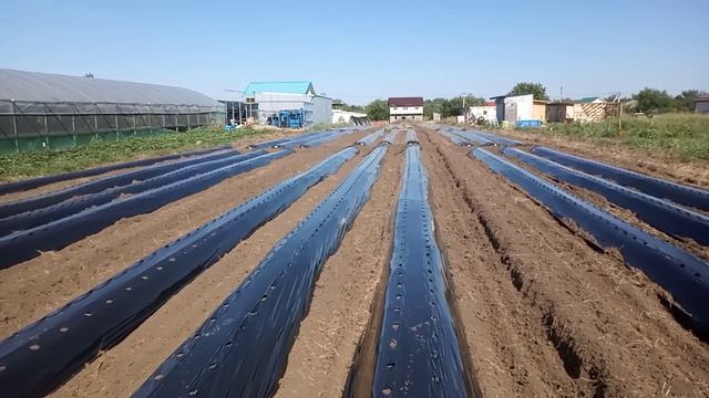 разметка участка к установке балаганов смотреть онлайн