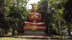 Удивительная Пханг Нга | Путь к Аватару | Экскурсия на Пхукете | Жаркие Каникулы 2019| 10+