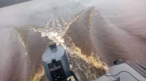 Flinc 320 TL+Sea Pro 2.5 + гидрокрыло