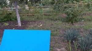 Скважина для воды. Приямок своими руками.