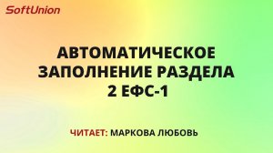 Автоматическое заполнение раздела 2 ЕФС-1