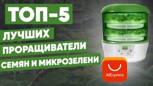 ТОП-5. Лучшие проращиватели семян и микрозелени с АлиЭкспресс. Рейтинг