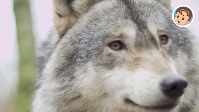 #культурадляшкольников 