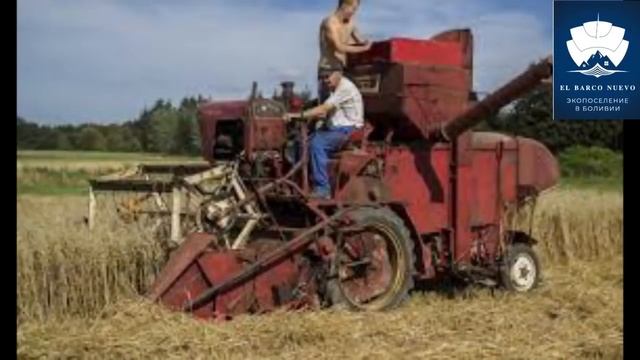 Мировой голод при антихристе. смотреть онлайн