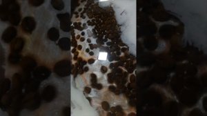 Кофейный поднос из эпоксидной смолы