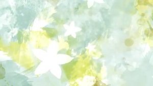 Поём о правах