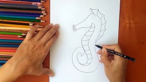 Как нарисовать морского конька. Онлайн-школа рисования "Малевашки"