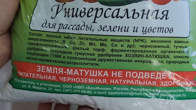 Покупки. ГОРТЕНЗИИ КРУПНОЛИСТНЫЕ. как сохранилась при разных температурах?