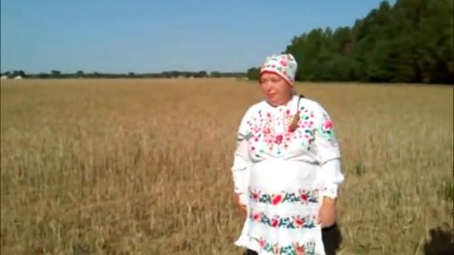 Зажинки — обряд уборки первого снопа смотреть онлайн