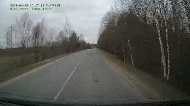 Лось. Сеголеток. смотреть онлайн