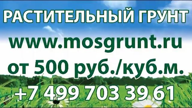 Растительный грунт для газонных и кустарниковых проектов смотреть онлайн