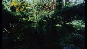 SDDS - Underwater - Jungle - Volcano - 35mm - HD