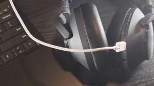 Technics EAH-A800 Review (A Balance of Battery and Sound)