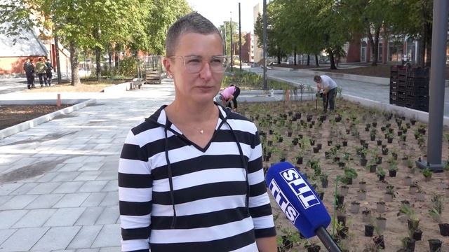 На ал. Седулинос высаживаются растения. Для клумб приготовлено 18 000 цветов разных сортов смотреть онлайн