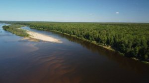 Река Ветлуга деревня Трифакино