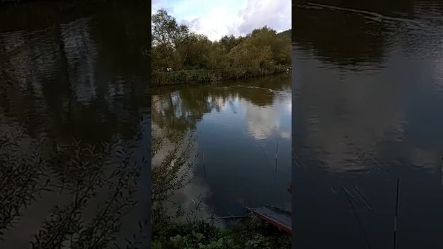 очистка пруда от  ила ( новый способ) !!!!!