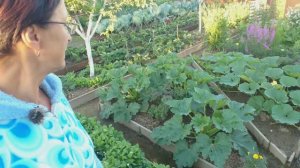 Видео привет с 6 соток 6 июля 2024 года. Хроника.