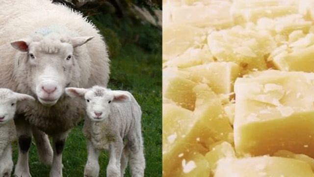 КАК сохранить объем DROPS AIR и другой ШНУРКОВой пряжи при СТИРКЕ| ЛАНОЛИН и СМЯГЧИТЕЛИ смотреть онлайн