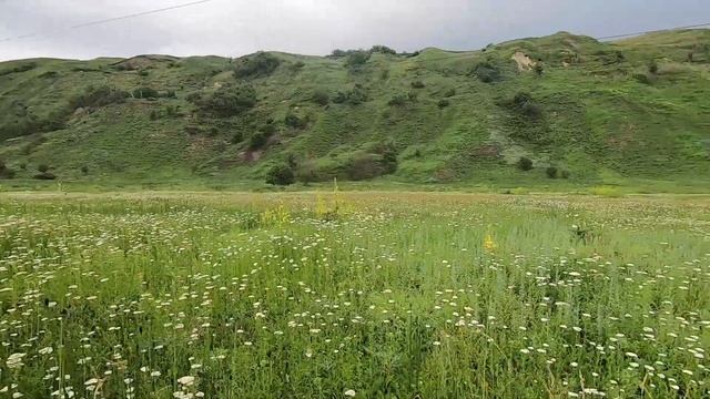 Как мы проводим выходные? Осматриваем окрестности и собираем травы))) смотреть онлайн