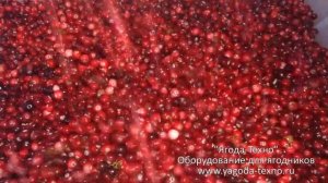 Веялка для очистки ягод Брус-500 "Ягода-Техно"