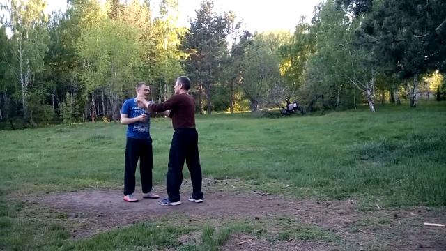 Наработка приема Разгладить гриву дикой лошади через туйшоу