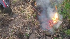 Обработка земли огнем. Приусадебное хозяйство избавится от сорняков.