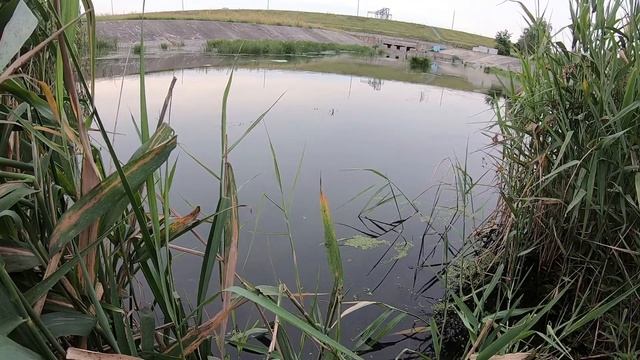 Рыбалка.попла-поппер.разная рыба. опарыш. ловлю где придется и что придется!ловля на попла-поппер.