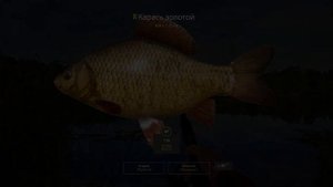 Трофейный карась на комарином. Садок за 40 минут. Отличный фарм! Фидер. Русская рыбалка 4. РР4.