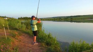 Рыбалка на донки, середина июля 2024. Ловля карпа, карася, сазана.