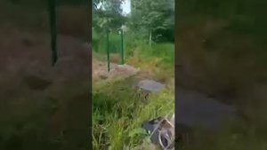 Забор из 3 Д сетки . Прут 5 мм . Ворота распашные 3 Метра . Калитка 1 метр .