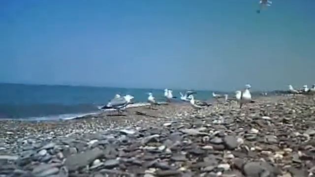 Танец на берегу