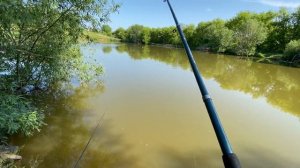 ДОЛГОЖДАННАЯ РЫБАЛКА! / ПОКАТУШКИ НА ПИТБАЙКЕ