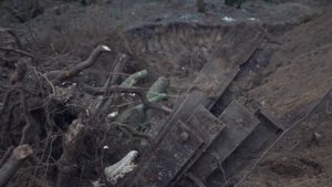 Покупка доски для опалубки