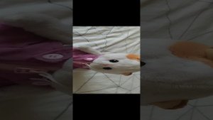 Лили рассказывает свои интересы))