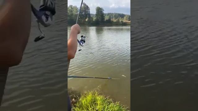 28 августа 2022 г. смотреть онлайн