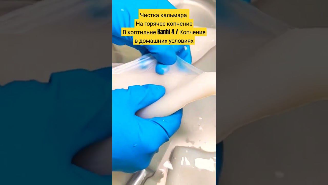Чистка кальмара На горячее копчениеВ коптильне Hanhi 4 / Копчение в домашних условиях / Кальмар