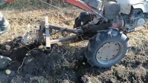Мотоблок Агрос копаем картофель.