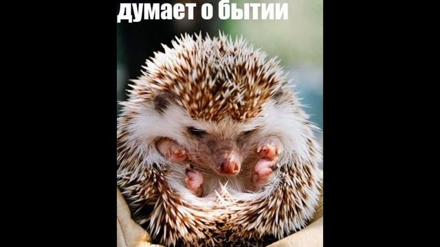 Влог о том что будет дальше смотреть онлайн