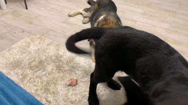 МАНЯ В ГОСТЯХ смотреть онлайн