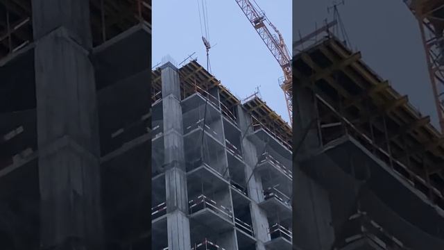 31 января 2020 г. смотреть онлайн