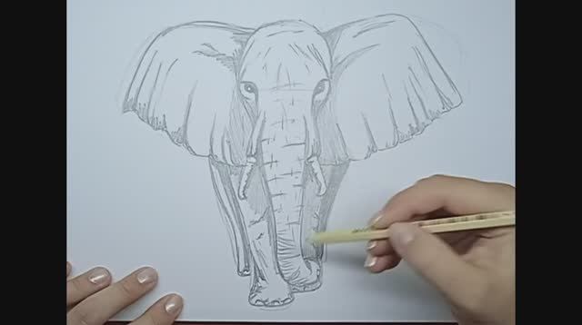 Как нарисовать слона \\ How to draw elephant // рисунки детям