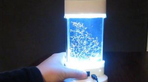светодиодный светильник-аквариум led light aquarium