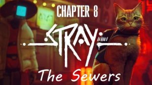 Stray Gameplay 4K UHD. Chapter 8: The Sewers