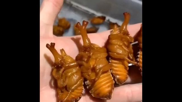 Танцующие куриные ножки? Нет, куколки жука-носорога. смотреть онлайн