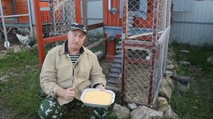 Кукуруза  для кур несушек,и цыплят.