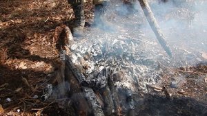 Дикая кухня - ПЕЧЕНАЯ КАРТОШКА С САЛОМ В ФОЛЬГЕ НА КОСТРЕ