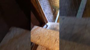 Йод-аэрогель для дезинфекции птичникп