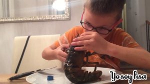 ЧТО ЭТО? Лобстер, Омар, Лангуст или большая креветка?